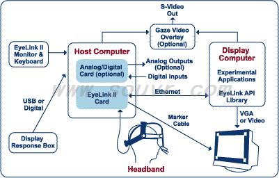 SR Research EyeLink II system configuration